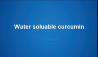 Water soluable curcumin 